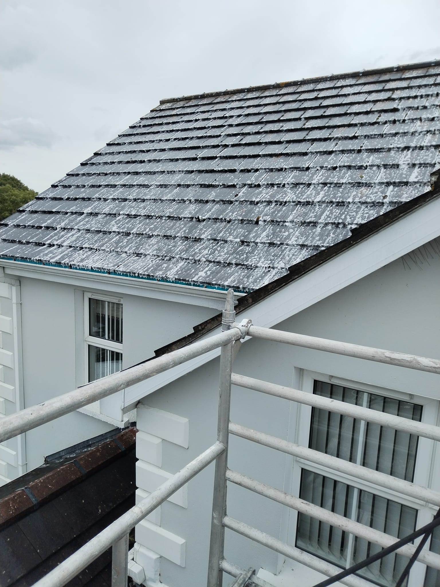 External Cleaning Services NI Domestic and Commercial Roof Cleaning Services